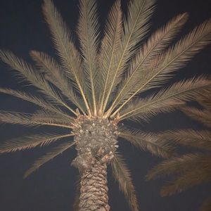 Meet your Posher, Selene